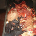 Farmer completely crushed by agricultural machinery