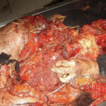Farmer completely crushed by agricultural machinery
