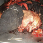Farmer completely crushed by agricultural machinery