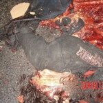 Farmer completely crushed by agricultural machinery