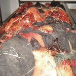 Farmer completely crushed by agricultural machinery