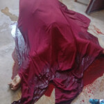 Guatemalan woman shot dead inside store