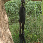 Hanged man found in Cambodian forest