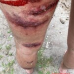 Humiliation and bullying in Russian army