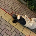 Japanese woman died by suicide after jumping from building