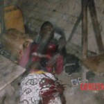 MIX: Civilian victims of African ISIS faction