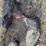 MIX: Dead Russian soldiers