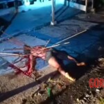 Victims of Papuan tribal wars