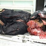 Victims of Papuan tribal wars