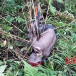 Victims of Papuan tribal wars