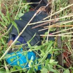 Victims of Papuan tribal wars