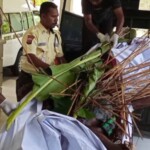 Victims of Papuan tribal wars