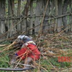 Victims of Papuan tribal wars