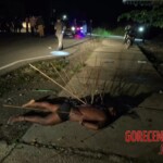 Victims of Papuan tribal wars