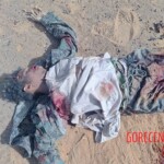 Malian rebels eliminated by government forces and Africa Corps