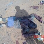 Malian rebels eliminated by government forces and Africa Corps