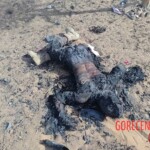 Malian rebels eliminated by government forces and Africa Corps