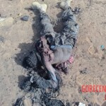 Malian rebels eliminated by government forces and Africa Corps