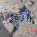 Malian rebels eliminated by government forces and Africa Corps