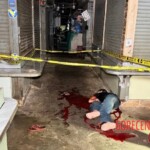 Man stabbed his girlfriend to death before taking his own life as well