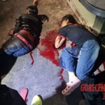 Man stabbed his girlfriend to death before taking his own life as well