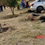 Massacre on soccer field in Mexico claimed 11 victims