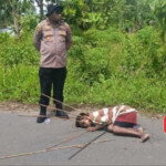 Mentally ill woman killed by arrow in Papua