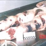 Photos of female victims of Tuzla massacre