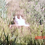 Raped and murdered by her friend's brother