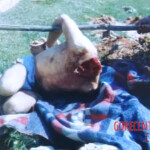 Wife kills husband in jealousy-fueled murder