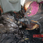14-year-old girl brutally murdered by her 14-year-old boyfriend