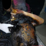 14-year-old girl brutally murdered by her 14-year-old boyfriend