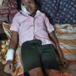 8-year-old girl attacked by stray cow