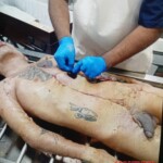 ACSN leader killed in police raid alongside three others