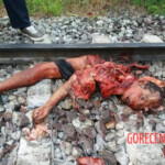 Brutal aftermath of man being struck by train
