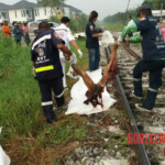 Brutal aftermath of man being struck by train