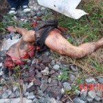 Brutal aftermath of man being struck by train