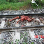 Brutal aftermath of man being struck by train