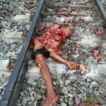 Brutal aftermath of man being struck by train