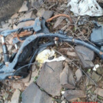 Dismembered woman found in reservoir