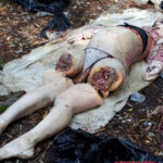 Dismembered woman found in reservoir