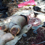 Dismembered woman found in reservoir