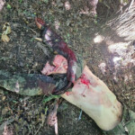Fallen Russian soldier on battlefield