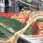 Fisherman dies after fishing net tears off his leg