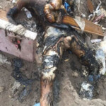 Gang members exhumed and desecrated body of their rival