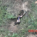 MIX: Dead Russian soldiers