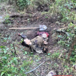 MIX: Dead Russian soldiers