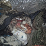 MIX: Dead Russian soldiers
