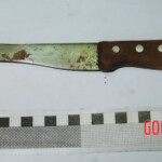 Man stabbed himself to death in woods with kitchen knife