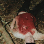 Man stabbed himself to death in woods with kitchen knife